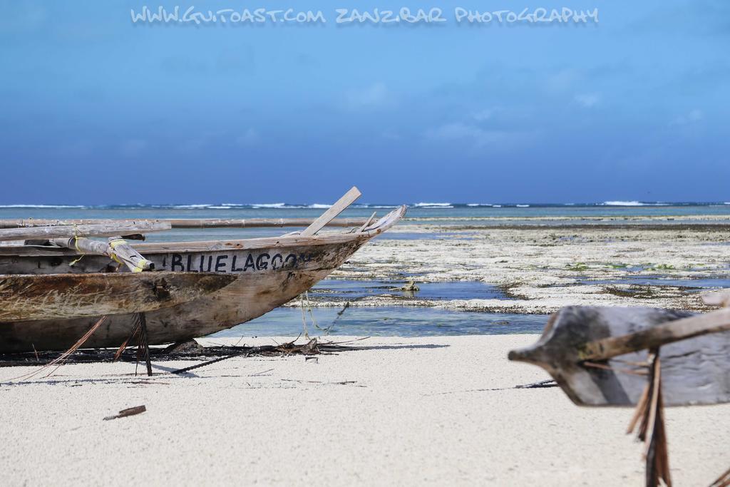 Albatross Ocean View Hotel Dongwe Bagian luar foto