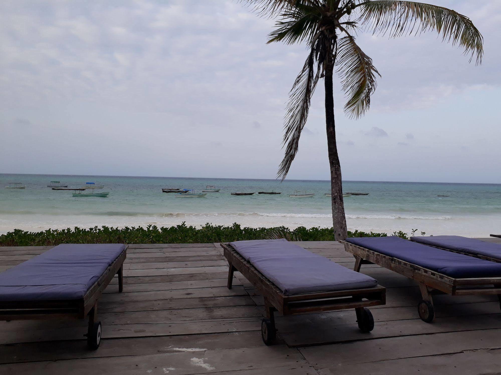 Albatross Ocean View Hotel Dongwe Bagian luar foto