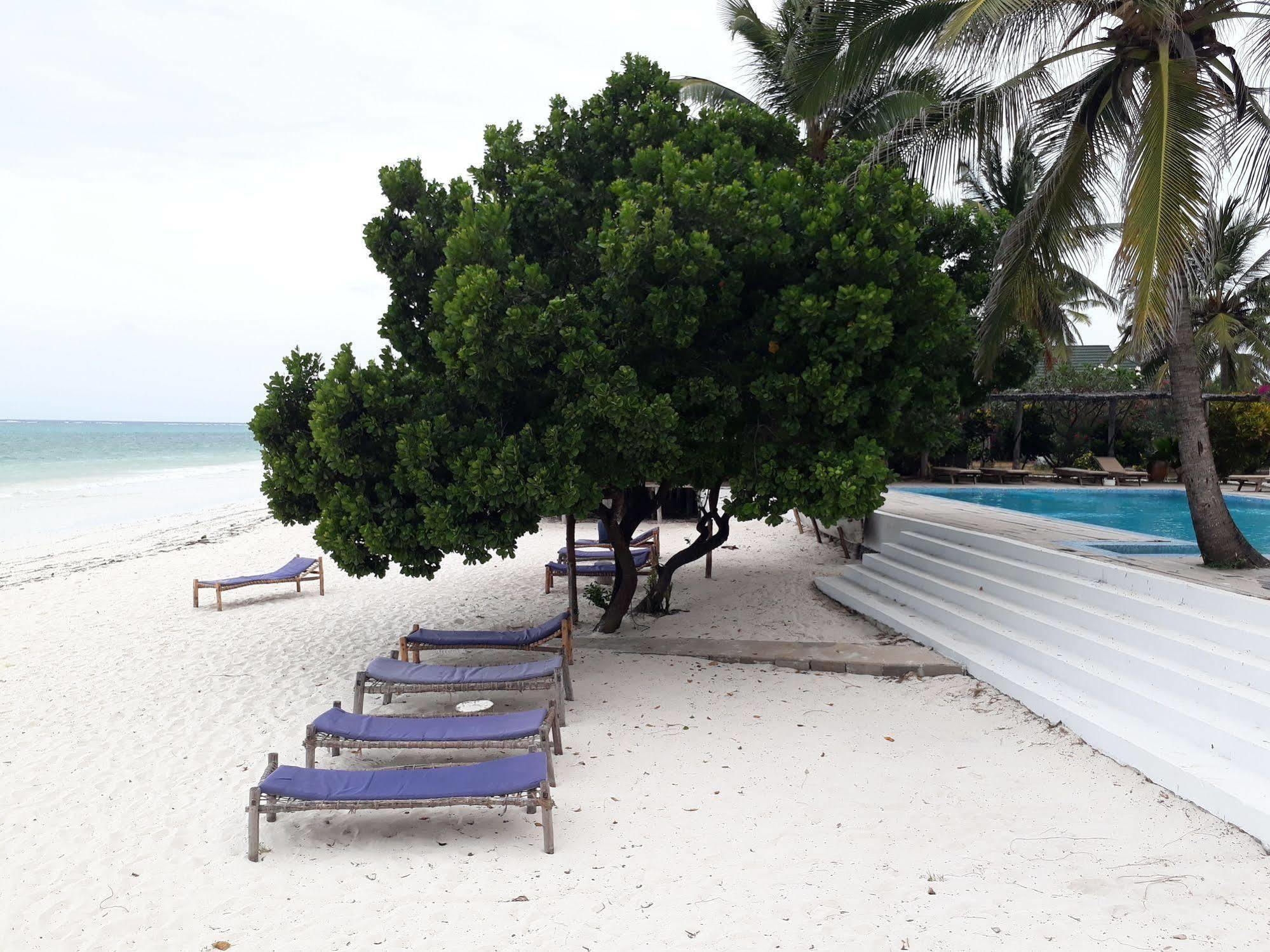 Albatross Ocean View Hotel Dongwe Bagian luar foto